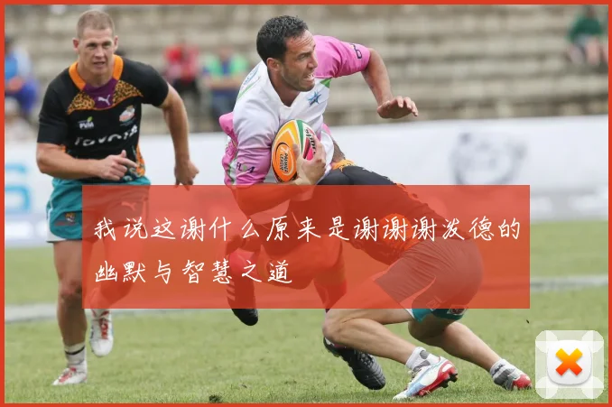 我说这谢什么原来是谢谢谢泼德的幽默与智慧之道